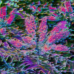 Lost in the woodworks