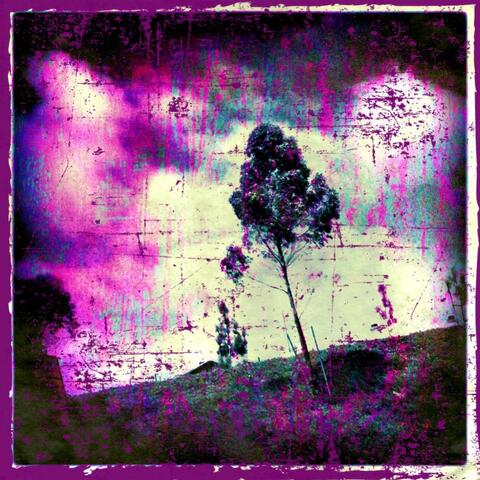 Synesthesia Anesthesiac