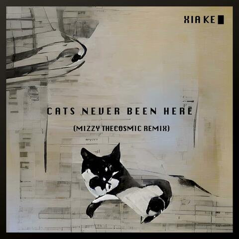 Cats Never Been Here