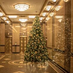 Holiday 2