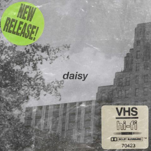 Daisy