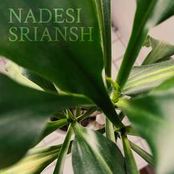 Srimati