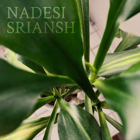 Sriansh