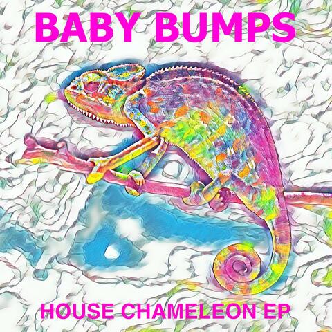 House Chameleon