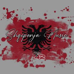 Deshmoreve te kosoves