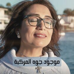 موجود جوه المركبة