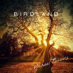 Birdland / Struggle On The Vertical Horizon