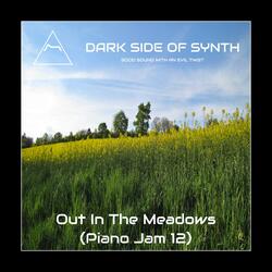 Out In The Meadows  (Piano Jam 12)