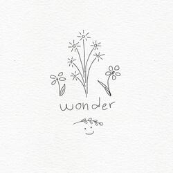wonder