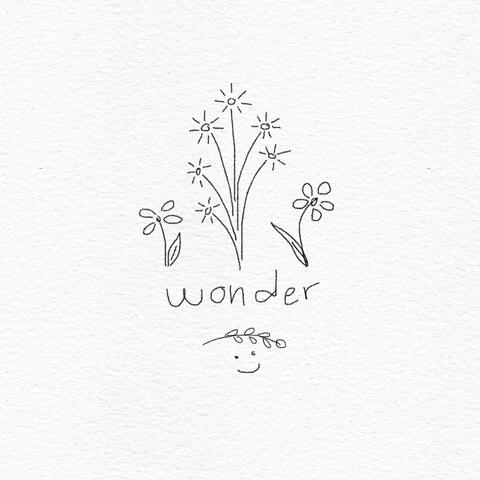 wonder