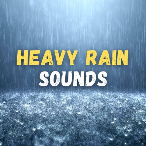 Heavy Rain Sounds on Car Roof