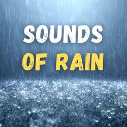 Umbrella Rain