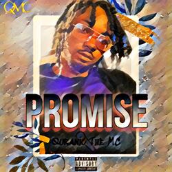 Promise