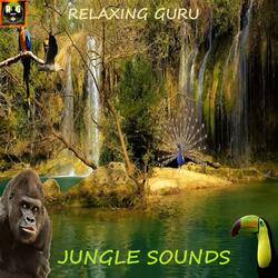 During the day in the Jungle! Sound of Waterfalls and Jungle Animals for Sleep, Study, Relax