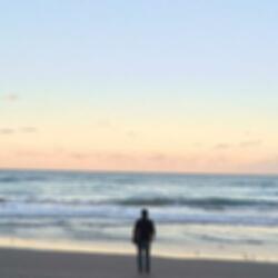 Interpreting the Silent Four Yourself