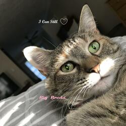I Can Still Love