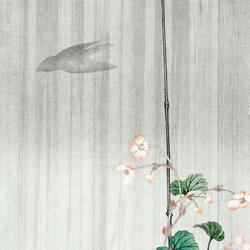 Garden Birds In The Rain