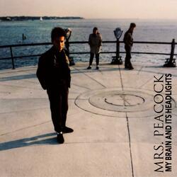 My Brain And It's Headlights