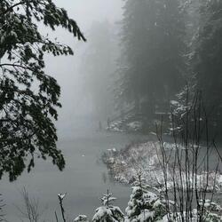 cold