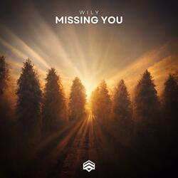 Missing You