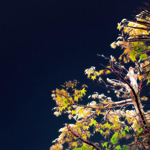 night, cold and rain