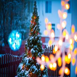 Winter