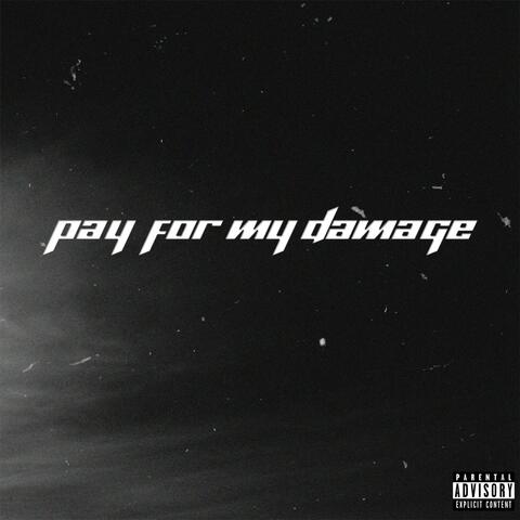 PAY FOR MY DAMAGE