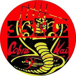 Cobra Kai