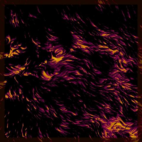 Mycelium City