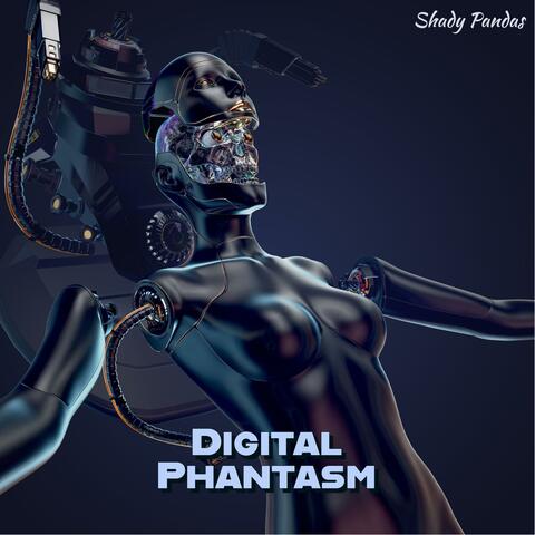 Digital Phantasm