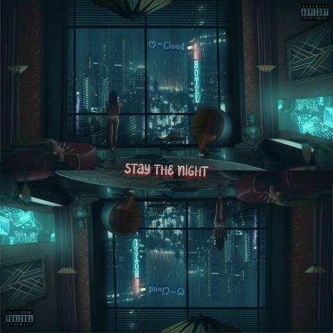 STAY THE NIGHT
