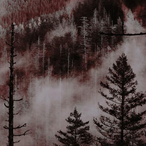HXXD
