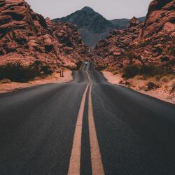 Rebel On The Road