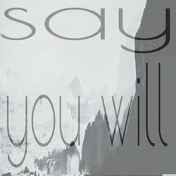 Say you will