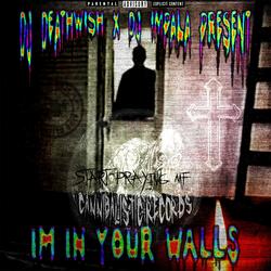 IM IN YOUR WALLS