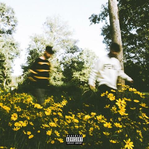 Drugs & Flowers