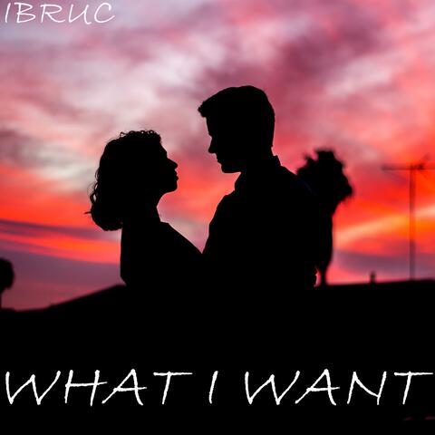 What I Want