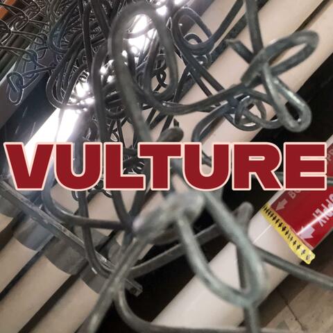Vulture