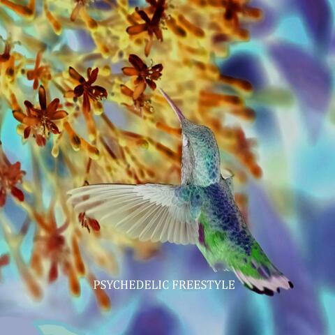 psychedelic (freestyle)