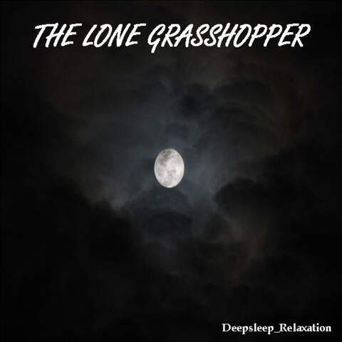 THE LONE GRASSHOPPER