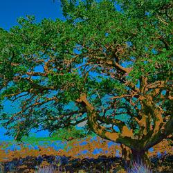 Anxiety not even 808s cures