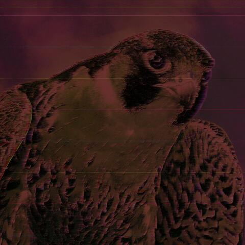 Cyborg bird kills man over a french fry then spots another man holding a french fry and prepares to kill again