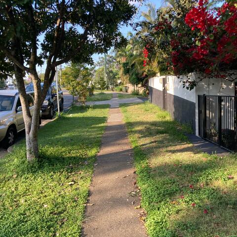 Breezy Morning