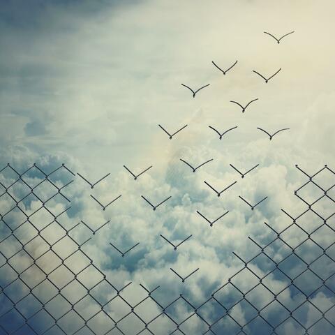 I'm Free