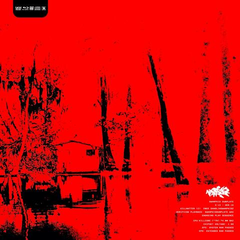 SWAMPKID DUBPLATE