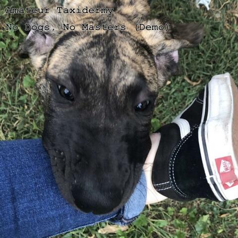 No Dogs, No Masters (Demo)