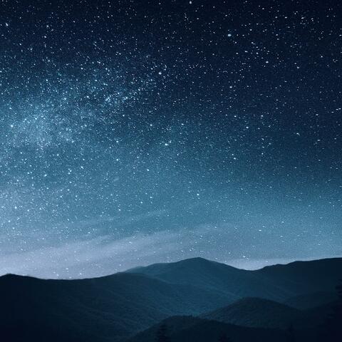 Searching For Somewhere