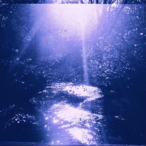 The Edge