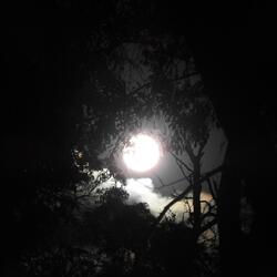 Coming of Sound   (Lava mix)