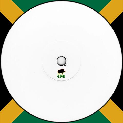 THEY TRY 2 STOP US RIDDIM